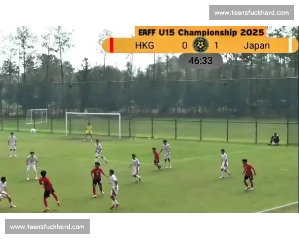 足球直播官方版极速更新，畅享全球赛事精彩瞬间，随时随地尽享赛事直播体验